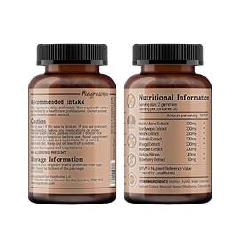 Mushroom Complex Gummies - 6 Mushroom Blend with Lion’s Mane, Reishi, Cordyceps, Shiitake, Maitake & Chaga + Ginkgo & Elderberry - Sugar Free Blueberry Flavour - 60 Gummies