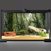AWERT Foggy Forest Terrarium Background - Stream Green Huge Tree
