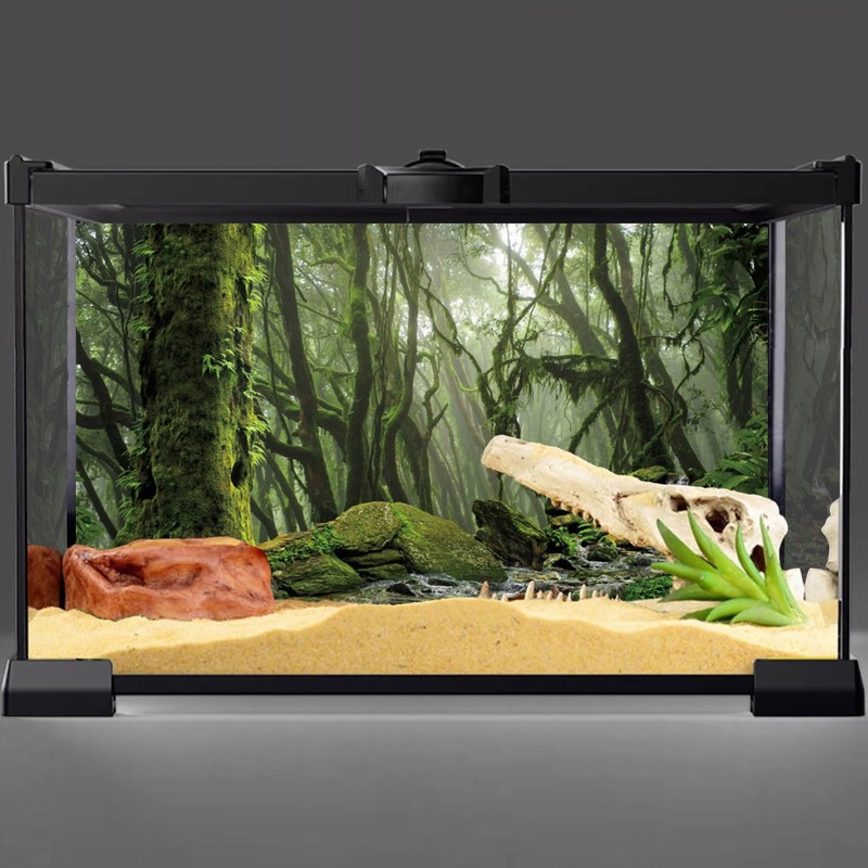 AWERT Foggy Forest Terrarium Background - Stream Green Huge Tree