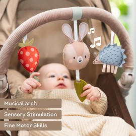 Taf Toys Arch | Ideal for Infant & Toddlers, Fits Stroller & Pram, Activity Arch with Fascinating Toys, Stimulates Baby’s Senses and Motor Skills Development, Easier Outdoors (Musical Bunny arch)