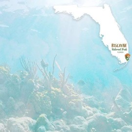 Scrapbook Customs 39072 Biscayne National Park Watercolor Florida 12 Inch x 12 Inch Double-Sided Scrapbook Paper - 1 Sheet