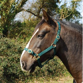 Rhinegold Nylon Headcollar, Cob, Green