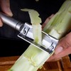 Sugarcane Peeler Pineapple Peeling Cutter - Stainless Steel Sugar Cane