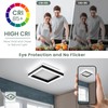 Vloitgol Square LED Hallway Ceiling Light, 6000K Cold White Black