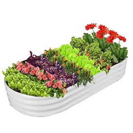 Metal Raised Garden Bed Galvanized Planter Box for Vegetables, Flowers, Herbs, and Succulents (D- White)