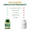  Plant Based Calcium 650mg Supplement for Better Absorption |