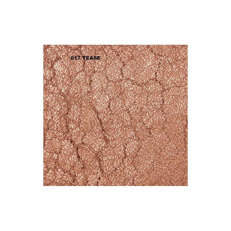 Sombra Profesional 100% Mineral Maquillaje Alta Calidad