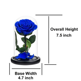 Preserved Roses Royal Blue Roses in Glass Dome, Medium, Preserved Flowers for Women