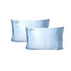 QUEEN BEE SILK - 2 Pack Silk Pillowcase for Hair