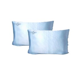 QUEEN BEE SILK - 2 Pack Silk Pillowcase for Hair and Skin - 22 Momme Mulberry Silk - Charmeuse Weave - Envelope Closure - Queen Size - Sky Blue