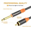 Getaria 9.9ft RCA to 1/4 Cable,Dual 1/4 inch TS to