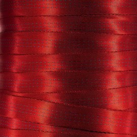 West Coast Paracord 1-Inch Tubular Nylon Webbing – Premium Heavy Duty Lightweight with Breaking Strength of 4000 Pounds – Outdoor All Purpose Straps for Climbing and Securing (Red, 10 Yards)