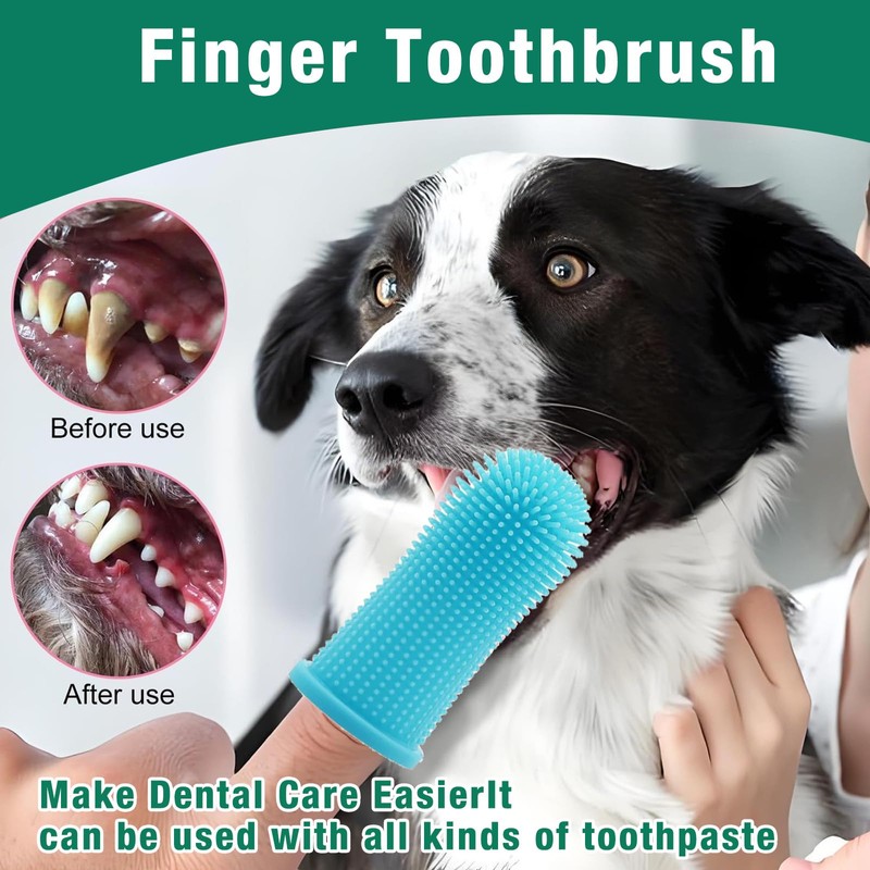ElevaPulse Pill Dispenser for Cats and Dogs - Set of