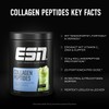 ESN Collagen Peptides, Green Apple, 300 g, Promotes Joint Stability