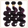 ALHER Black Mix Dark Burgundy Highlight Bundle Human Hair Body