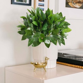 AILANDA 6PCS Artificial Greenery Stems Faux Eucalyptus Branches for Vase Fillers Shurbs Bush Home Wedding Party Kitchen Indoor Outdoor Decoration