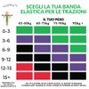 LISTHEN Elastic Resistance Bands for Muscle Up, Pull Ups, Fitness,