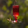 More Birds Red Jewel Hummingbird Feeder, Glass Hummingbird Feeders for