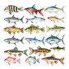 GRAZDesign Wall Sticker Fish Set – Decorative Bathroom Wall Sticker,