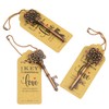 Aokbean 52pcs Vintage Skeleton Key Bottle Opener Wedding Gift Set