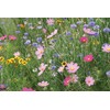 Amturf Roll & Grow Wildflower Garden Blanket, Butterfly Mix, 1'