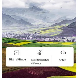 Black Goji Berries Black Wolfberry Tea Natural Wild Goji Berry Tea Grade A+ (Extra Large 150g)