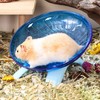 Hamster Flying Saucer Silent Running Wheel, 12 Inch, Suitable for