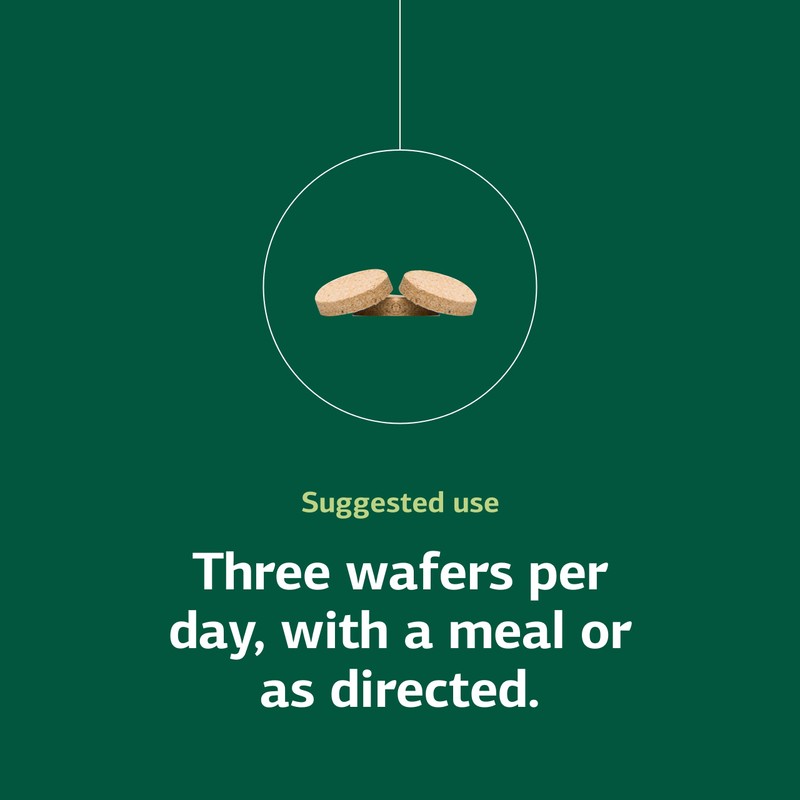 Standard Process Calcifood - Calcium Supplement for Bone Strength &
