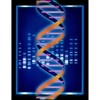 CafePress Computer Artwork of Some DNA W Sticker Sticker (Oval