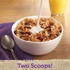 Kellogg's Raisin Bran, Breakfast Cereal, Original with Cranberries, Good Source