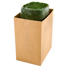 SuperMoss 22431 B005IZ3VLC, 1.5ft x 24ft, Fresh Green