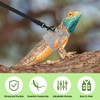 Fnaobai Bearded Dragon Harness Leash Set 3 Size Adjustable Lizards
