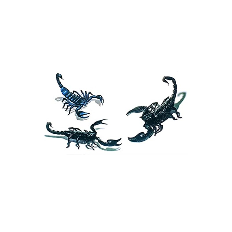 EROSPA® Temporary Tattoo Sheet / Sticker 3D Scorpio 10.5 x