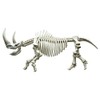 Pose skeleton Mammals Thigh