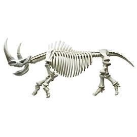 Pose skeleton Mammals Thigh