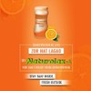 Kaxilu Naturix Naturolax-A Isabgol Husk Powder, Orange, 300 GMS