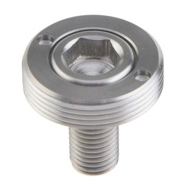 Dingtai チタン クランク ボルト ネジ M8X15mm Extractor袖 (チタンカラー)