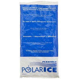 epX Back Support Accessories, Polar Ice Pack, Hot and Cold Therapy Insert Pack, Heat Therapy to Warm Up Before Activity and Cold Therapy to Recover After Activity, Combination Cryotherapy & Heat Pack