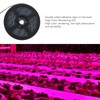 LED Grow Lamp Full Spectrum 3 Meters Dimming Induction Plant