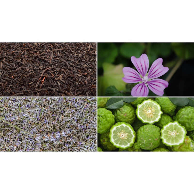 TESIS LADY EARL GRAY, TE NEGRO, PETALOS DE MALVA, LAVANDA,