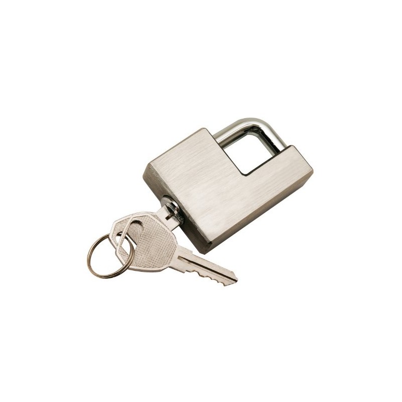 Reese Towpower 7005800 Gorilla Guard Stainless Steel Coupler Lock