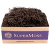 SuperMoss (27016) Spanish Moss Preserved, Coffee, 3lbs