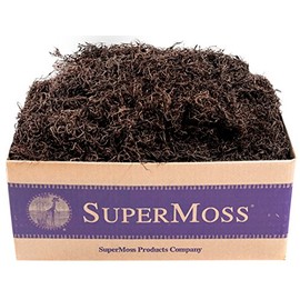 SuperMoss (27016) Spanish Moss Preserved, Coffee, 3lbs