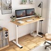 FLEXISPOT Whole Piece 55"x28" Desktop 1" Thickness Height Adjustable Desk