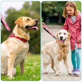Short Dog Leash,Traffic Leash,Reflective Nylon Padded Handle,Nylon Short Dog Leash for Training Control - for Large and Medium Sized Dogs. (Cool Pink)