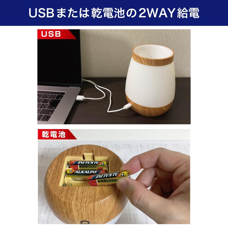 Asahi Electric ELPA PM-LP101 LED Light Storage