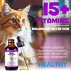 Datival Cat Multivitamin, 15 in 1 Cat Multivitamin Liquid Drops,