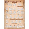 Spectra Verlag Karate | Karate Tools Poster | DIN A1