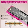 Blues Harmonica, Diatonic 10 Holes C Key Happy Harmonica Mouth