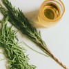 Sanniti French Tarragon White Wine Vinegar, 8.5 fl oz